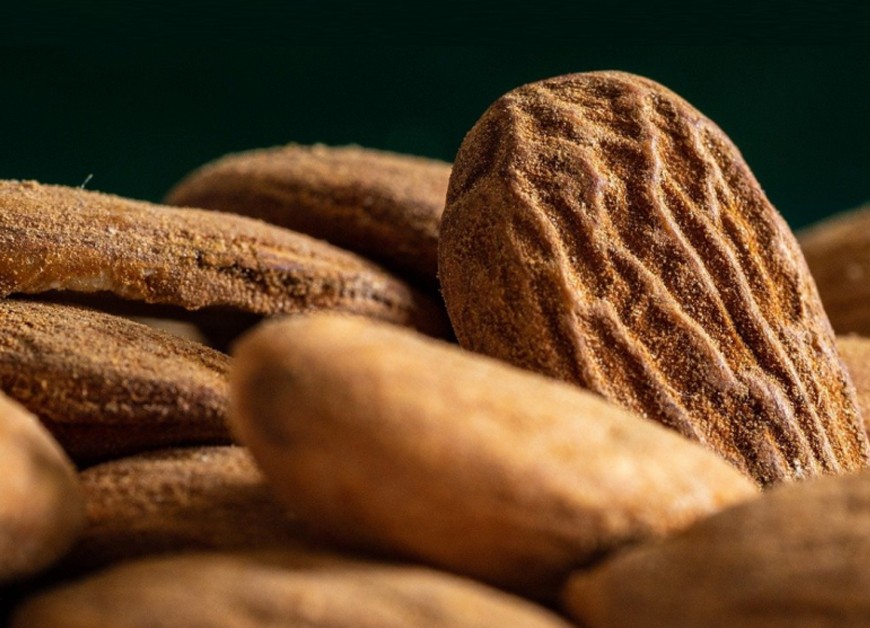 Tiempo de recolectar almendras